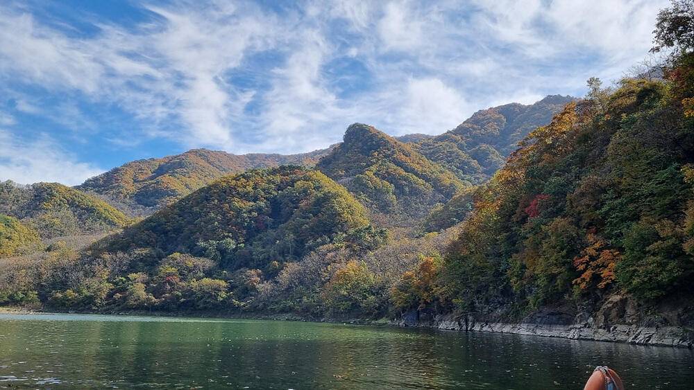 좋은 조황을 보인 충주호 명서 하천 낚시터 소식 (조황조행기 - 특파원조황)