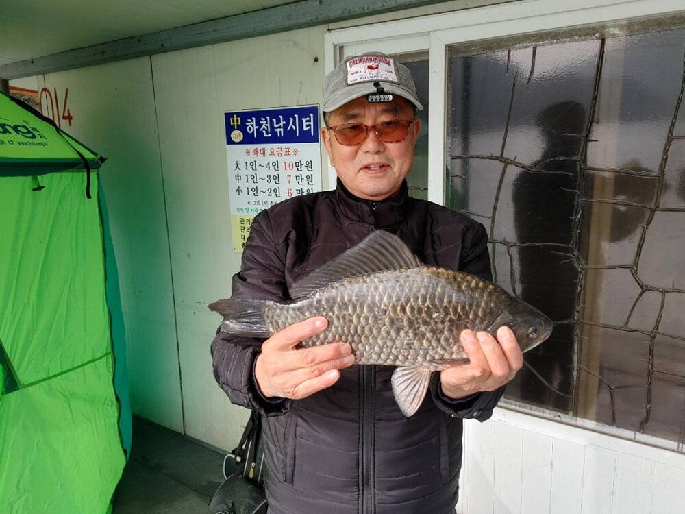 하천낚시터 44cm 대물붕어에 마릿수 조황입니다 (조황조행기 - 특파원조황)