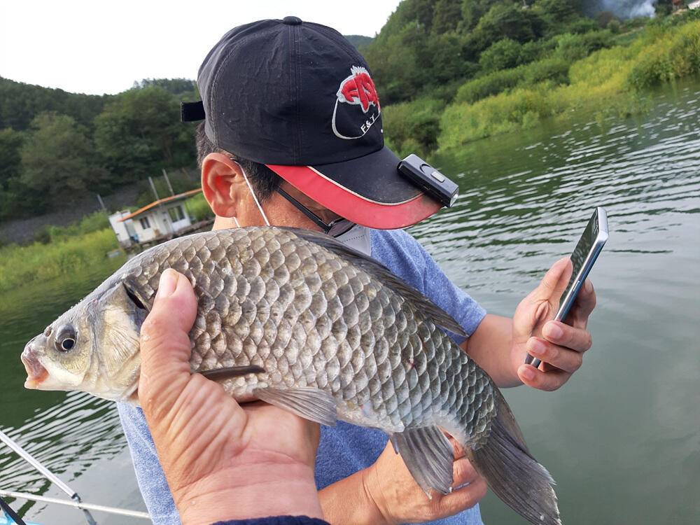 충주호 명서 하천 낚시터 조황 소식입니다 (조황조행기 - 특파원조황)
