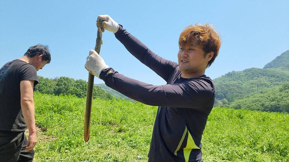 명서낚시터 4짜와 마릿수 붕어 장어 종점 낚시터 42cm 대물붕어 조황 소식입니다 (조황조행기 - 특파원조황)