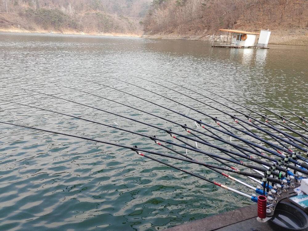 하천 낚시터 42cm 대물붕어 마릿수 조황 (조황조행기 - 특파원조황)