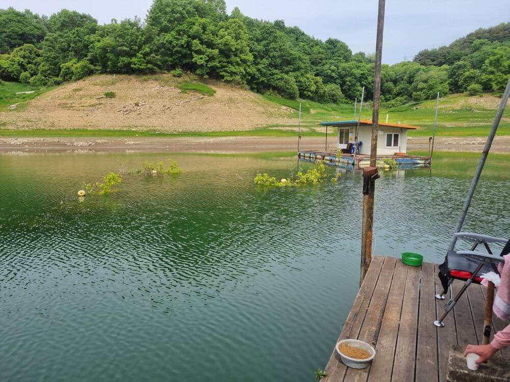 충주호 하천낚시터 허리급 붕어 마릿수 소식입니다 (조황조행기 - 특파원조황)