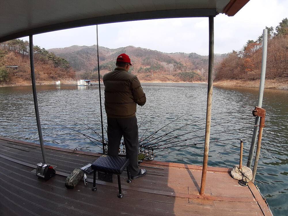 충주호 하천 낚시터 45cm 대물 붕어 소식입니다 (조황조행기 - 특파원조황)