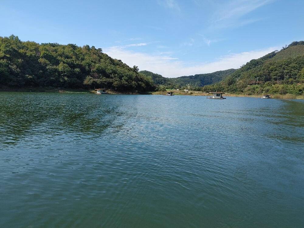 하천낚시터 4짜붕어 소식입니다 (조황조행기 - 특파원조황)