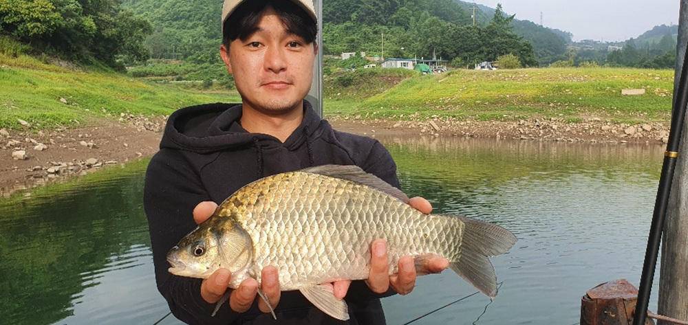 목벌낚시터 허리급 붕어들 소식 (조황조행기 - 특파원조황)