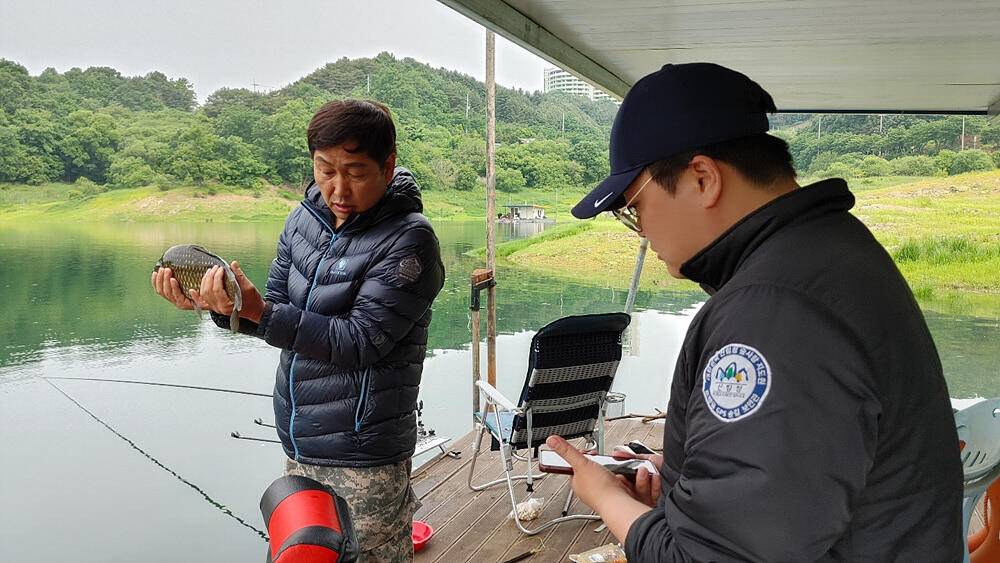 솔 낚시터 4짜 대물붕어 소식 하천낚시터 4짜 대물붕어덩어리급 소식입니다 (조황조행기 - 특파원조황)