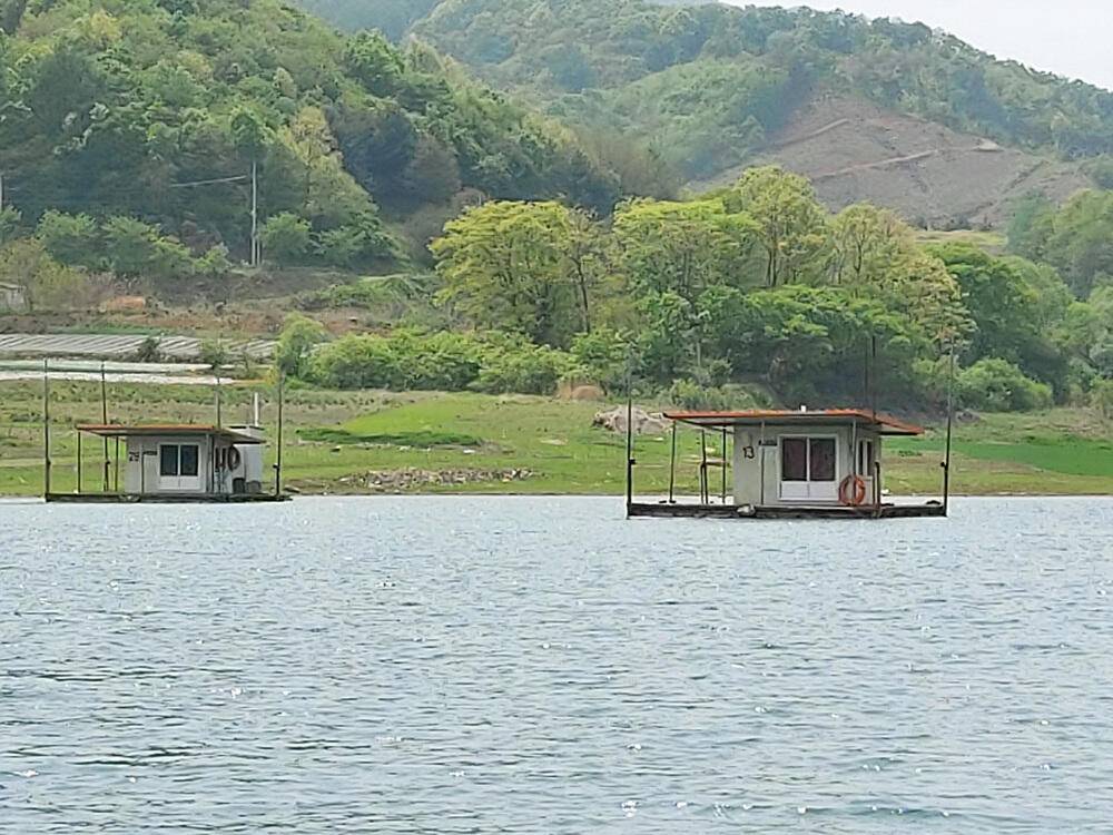 하천낚시터 허리급 붕어조황 소식 (조황조행기 - 특파원조황)