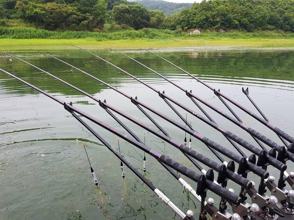 하천낚시터 4짜행진 43cm까지 (조황조행기 - 특파원조황)
