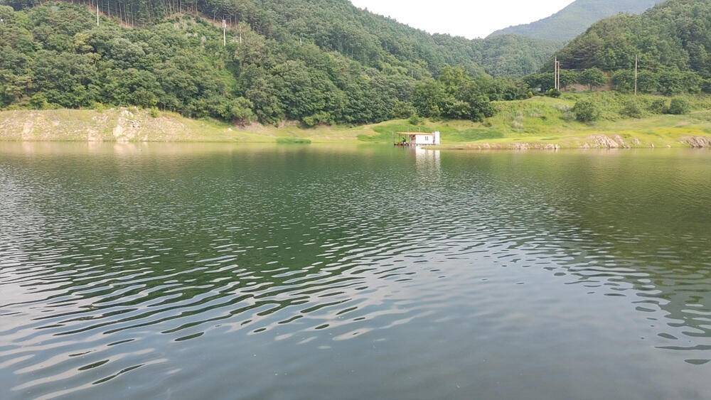 솔 하천 낚시터 붕어 조황 소식과 꽃바위 낚시터 장어 소식 (조황조행기 - 특파원조황)