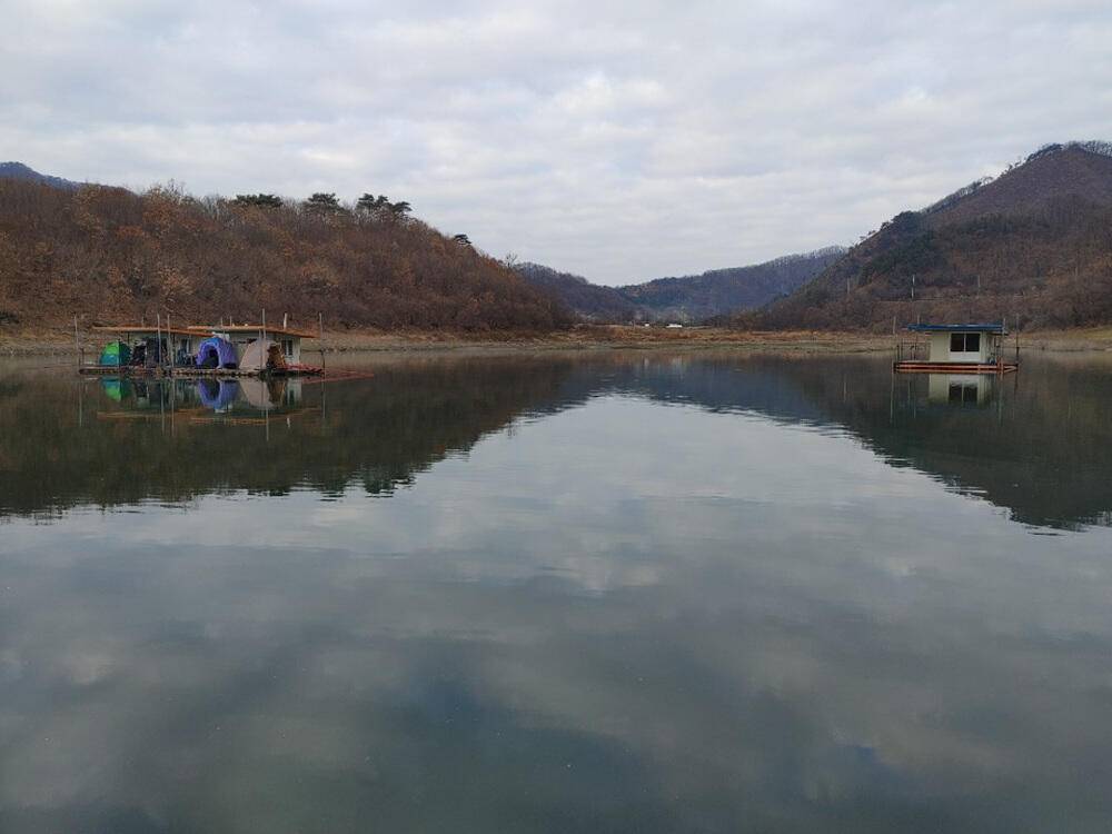 하천낚시터 42cm 대물붕어에 마릿수 조황소식 (조황조행기 - 특파원조황)