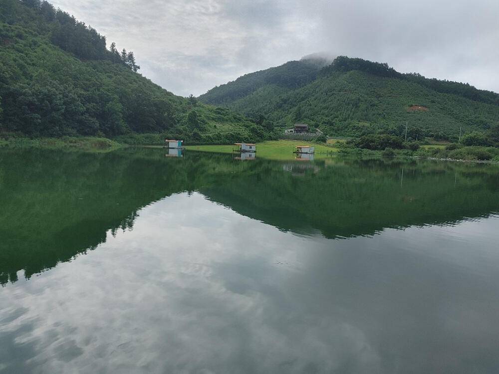하천 낚시터 4짜 대물붕어까지 호조황입니다 (조황조행기 - 특파원조황)
