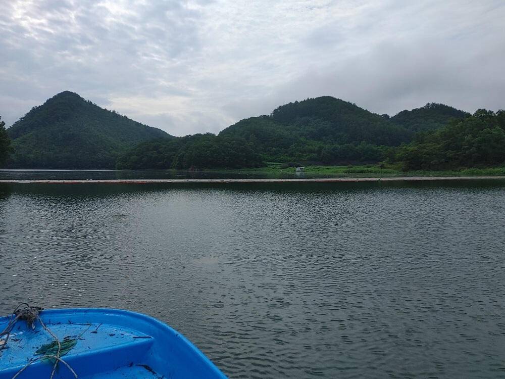 하천 낚시터 4짜 대물붕어까지 호조황입니다 (조황조행기 - 특파원조황)