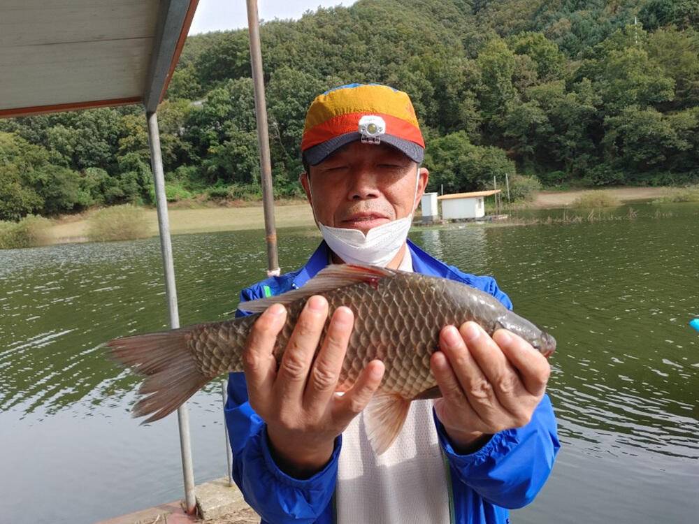 하천낚시터 조황 소식입니다 (조황조행기 - 특파원조황)