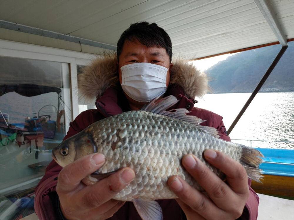 하천낚시터 44cm 대물붕어 소식입니다 (조황조행기 - 특파원조황)