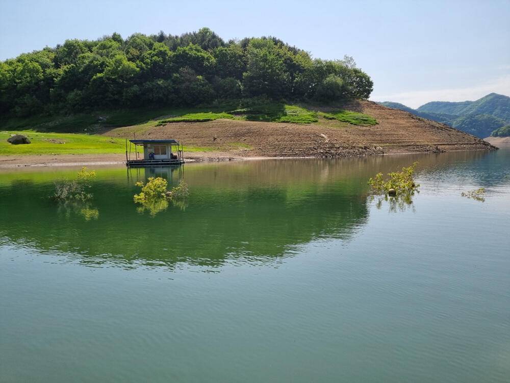 충주호 하천낚시터 허리급 붕어 마릿수 소식입니다 (조황조행기 - 특파원조황)