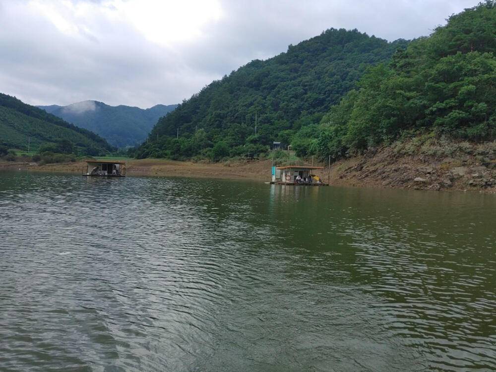 하천낚시터 4짜 붕어 소식 꽃바위 키로급 장어 소식 (조황조행기 - 특파원조황)