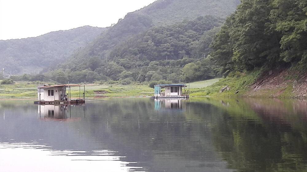 서운리 솔 낚시터와 하천 낚시터 4짜 붕어마릿수 소식입니다 (조황조행기 - 특파원조황)