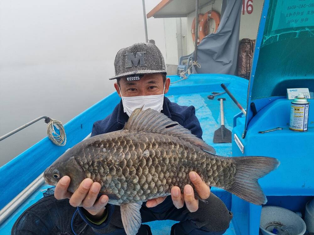 충주호 하천 낚시터 45cm 대물 붕어 소식입니다 (조황조행기 - 특파원조황)