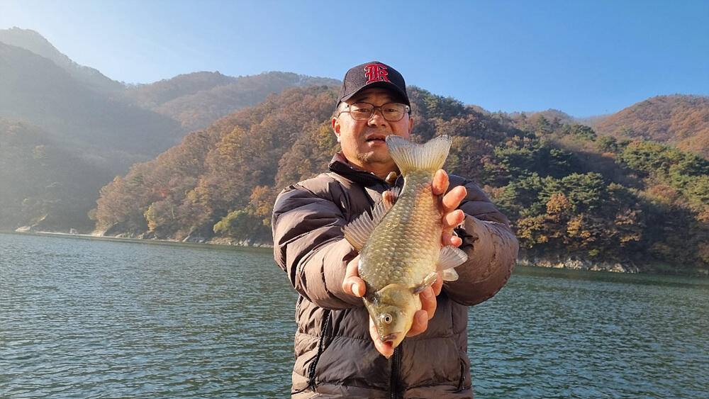 좋은 조황을 보인 충주호 명서 하천 낚시터 소식 (조황조행기 - 특파원조황)