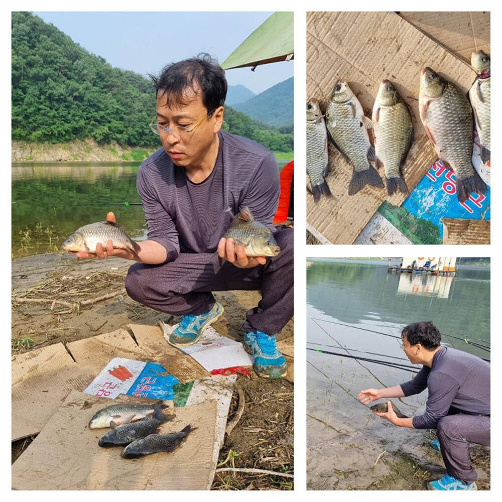 목벌 솔 명서 낚시터 내림수위에 터진 호조황 소식 (조황조행기 - 특파원조황)