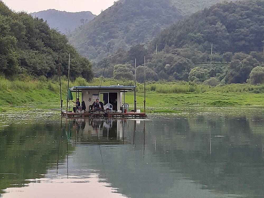 충주호 명서 하천 낚시터 조황 소식입니다 (조황조행기 - 특파원조황)