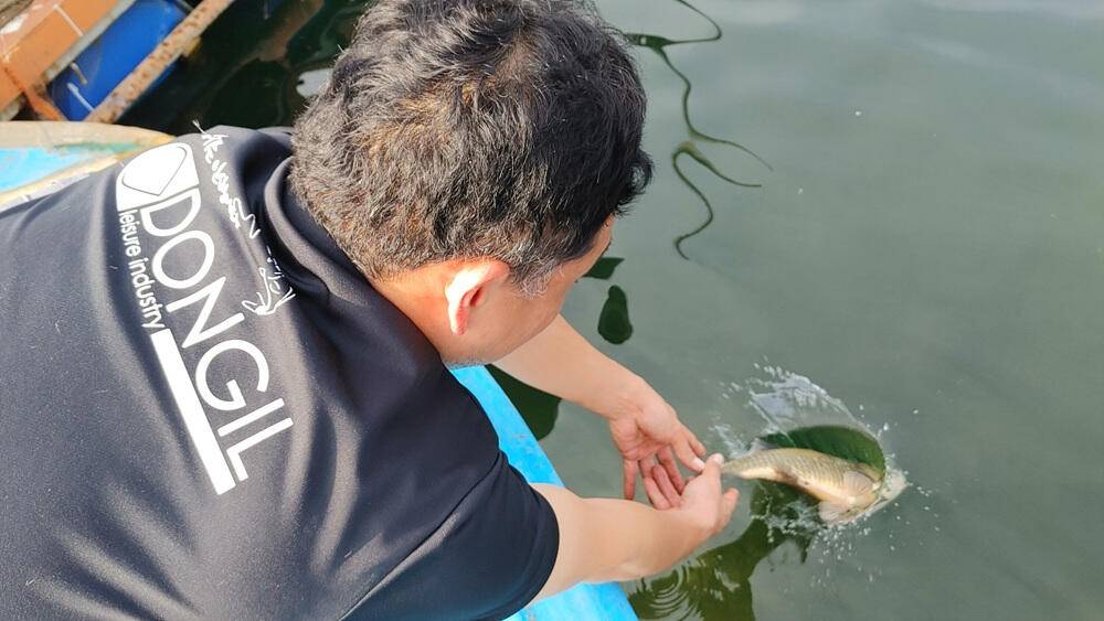 솔 하천 낚시터 붕어 조황 소식과 꽃바위 낚시터 장어 소식 (조황조행기 - 특파원조황)
