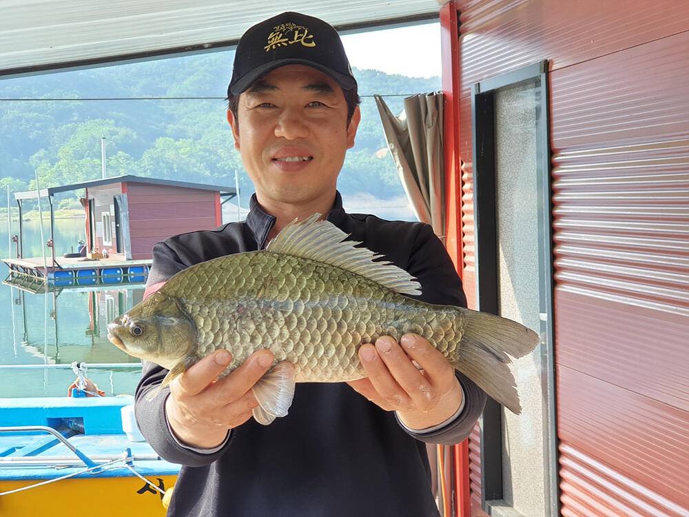 솔 하천 낚시터 붕어 조황 소식과 꽃바위 낚시터 장어 소식 (조황조행기 - 특파원조황)