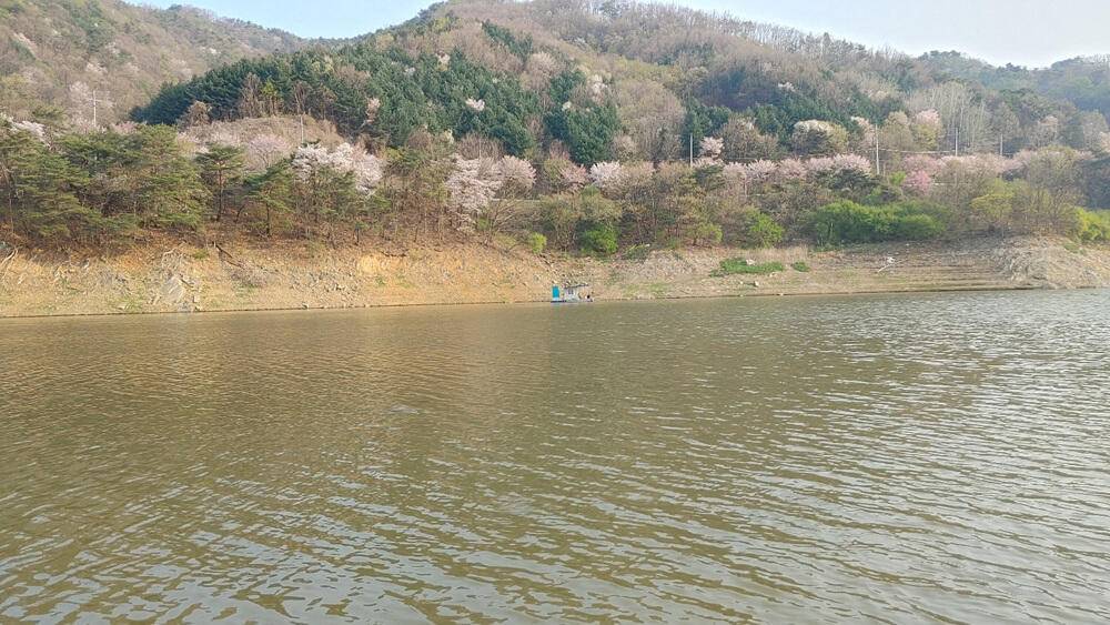 하천리 첫 개장에 4짜 대물붕어에 마릿수 조과도 있네요 (조황조행기 - 특파원조황)
