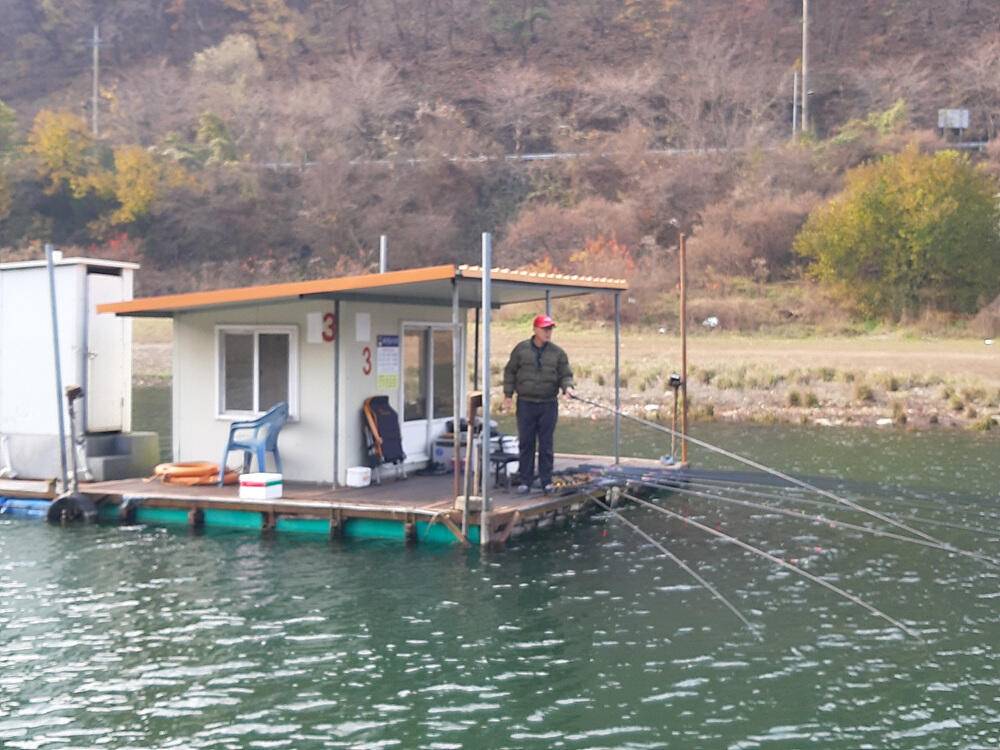 충주호 하천 낚시터 45cm 대물 붕어 소식입니다 (조황조행기 - 특파원조황)