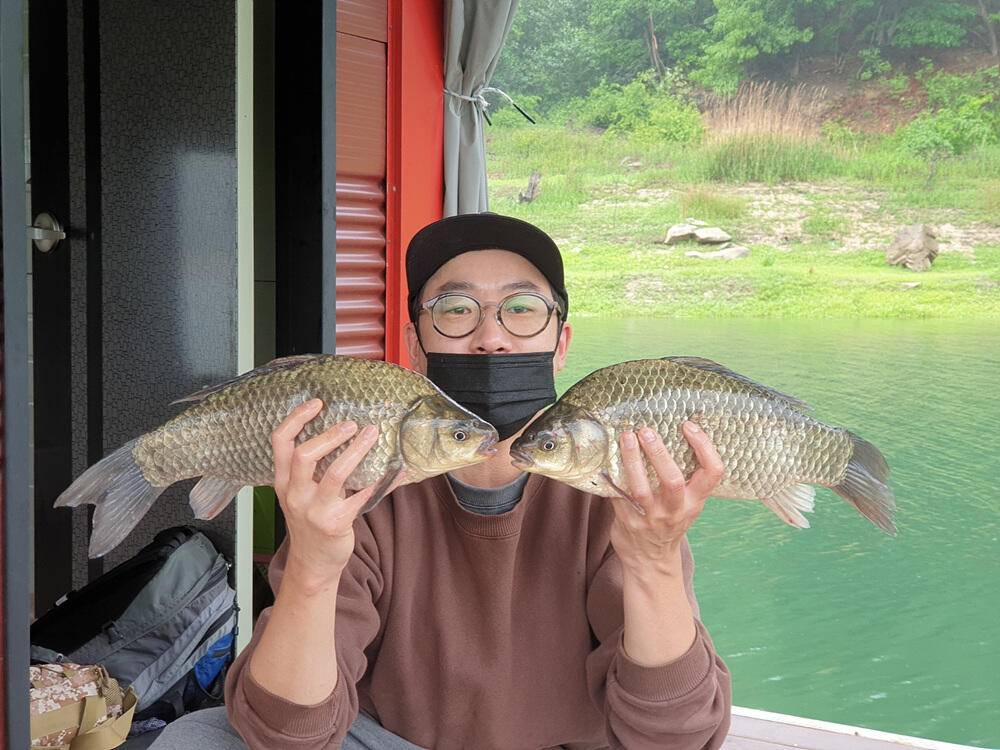 솔 낚시터 4짜 대물붕어 소식 하천낚시터 4짜 대물붕어덩어리급 소식입니다 (조황조행기 - 특파원조황)