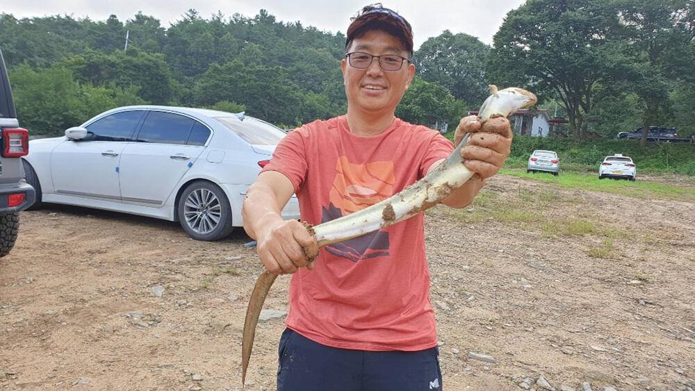 하천낚시터 4짜 붕어 소식 꽃바위 키로급 장어 소식 (조황조행기 - 특파원조황)