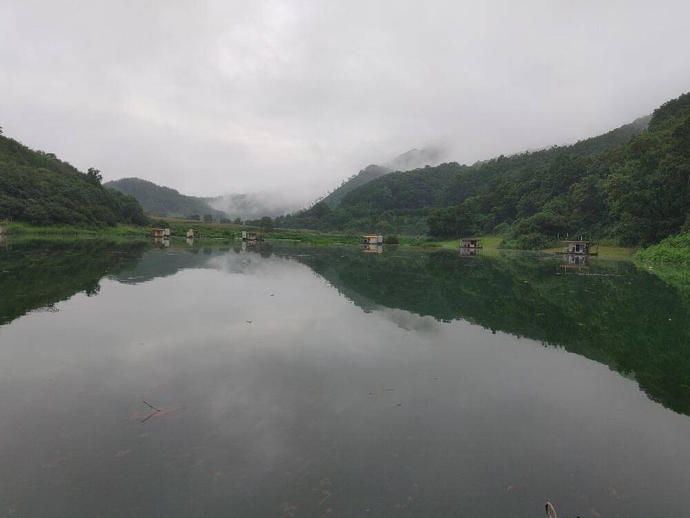 하천 낚시터 4짜 대물붕어까지 호조황입니다 (조황조행기 - 특파원조황)