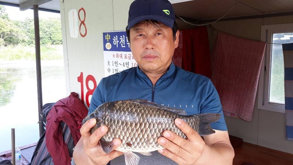 하천 낚시터 4짜 대물붕어까지 호조황입니다 (조황조행기 - 특파원조황)