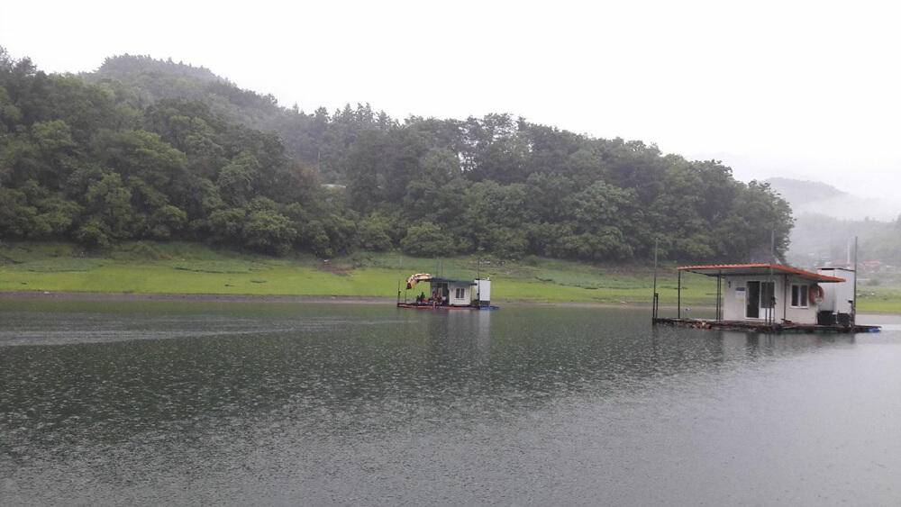 하천낚시터 조황 소식입니다 (조황조행기 - 특파원조황)