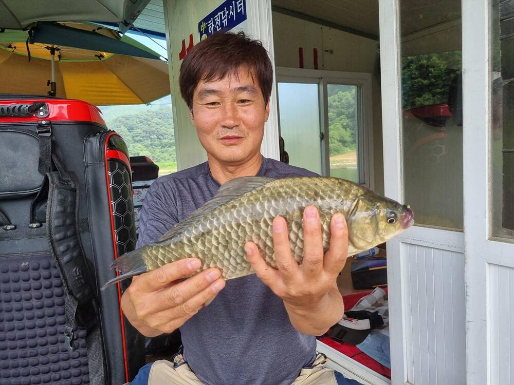 하천 낚시터 4짜와 마릿수 붕어 소식 (조황조행기 - 특파원조황)