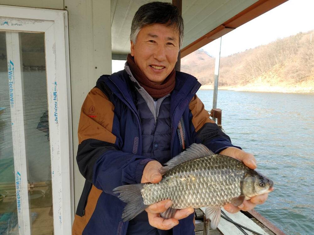 하천 낚시터 42cm 대물붕어 마릿수 조황 (조황조행기 - 특파원조황)