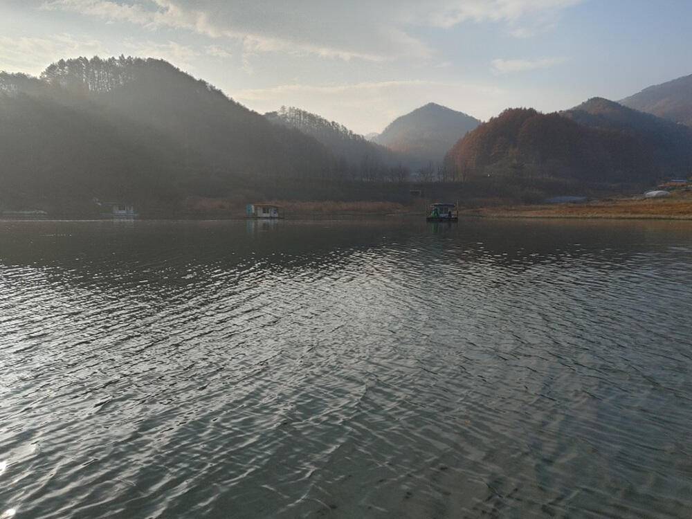 하천낚시터 41cm 대물붕어와 마릿수 조황 소식 (조황조행기 - 특파원조황)