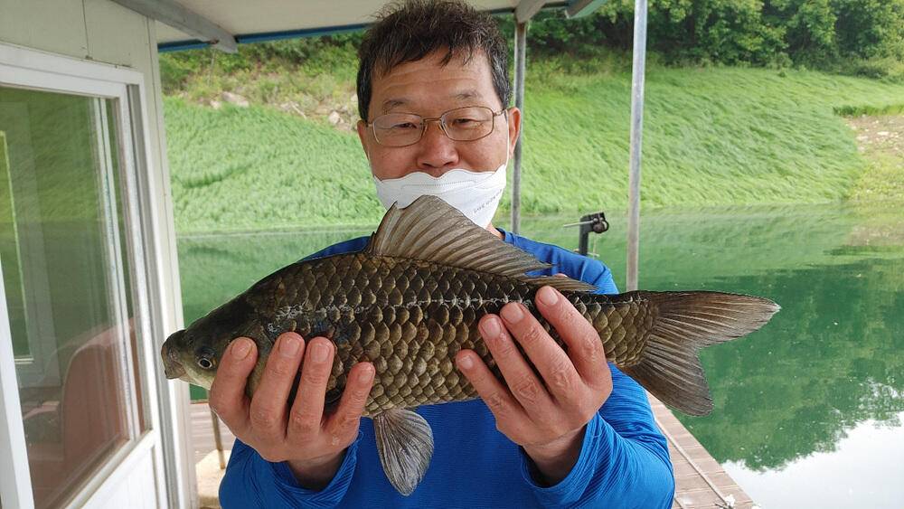 하천낚시터 4짜 대물붕어 소식입니다 (조황조행기 - 특파원조황)