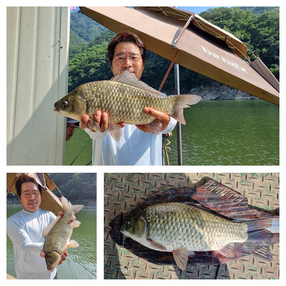 목벌 솔 명서 낚시터 내림수위에 터진 호조황 소식 (조황조행기 - 특파원조황)