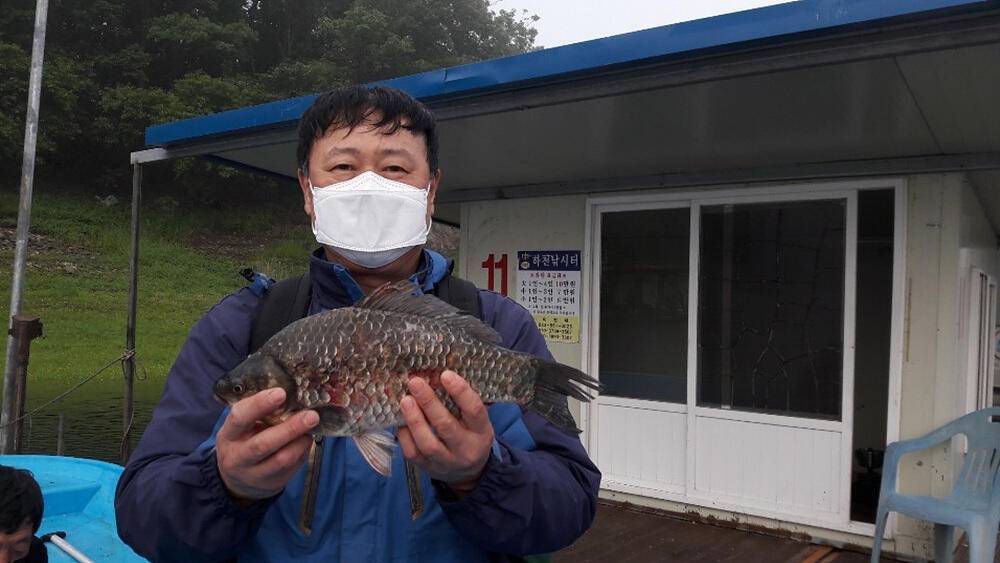 솔 낚시터 4짜 대물붕어 소식 하천낚시터 4짜 대물붕어덩어리급 소식입니다 (조황조행기 - 특파원조황)