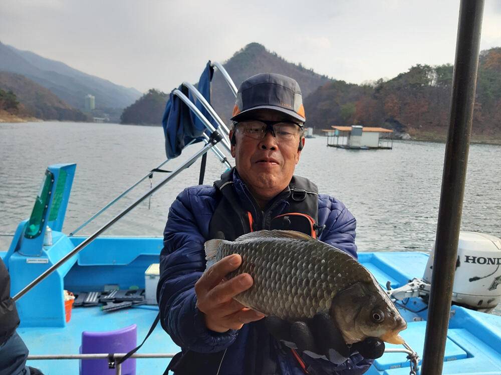 충주호 하천 낚시터 45cm 대물 붕어 소식입니다 (조황조행기 - 특파원조황)