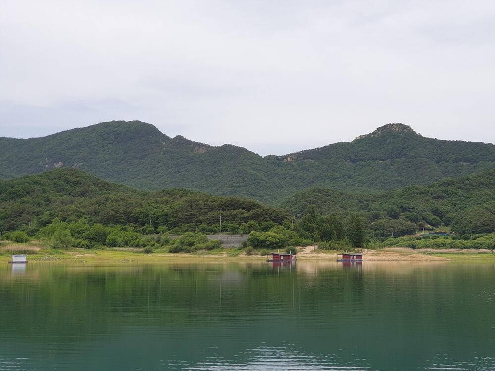 서운리 솔 낚시터와 하천 낚시터 4짜 붕어마릿수 소식입니다 (조황조행기 - 특파원조황)
