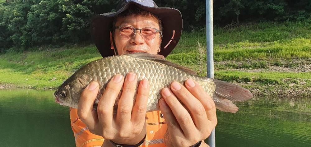 목벌낚시터 허리급 붕어 소식 서운 낚시터 키로급 장어 소식 (조황조행기 - 특파원조황)