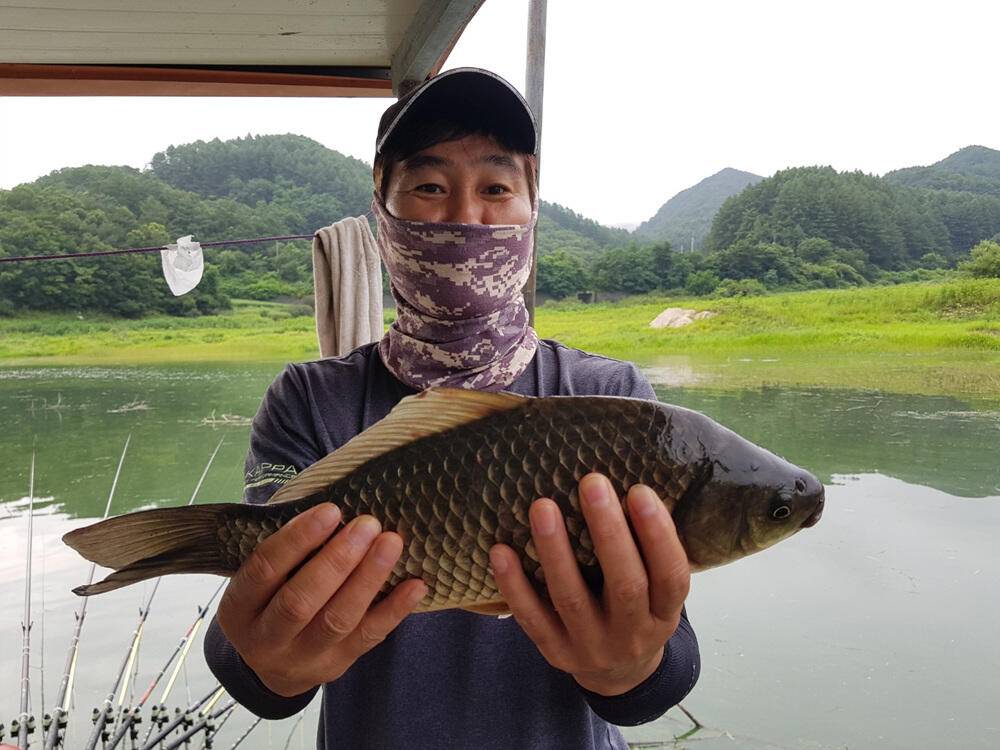 하천낚시터 4짜행진 43cm까지 (조황조행기 - 특파원조황)