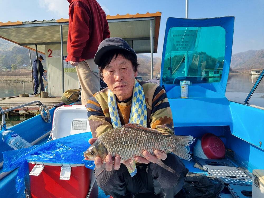 충주호 하천 낚시터 45cm 대물 붕어 소식입니다 (조황조행기 - 특파원조황)