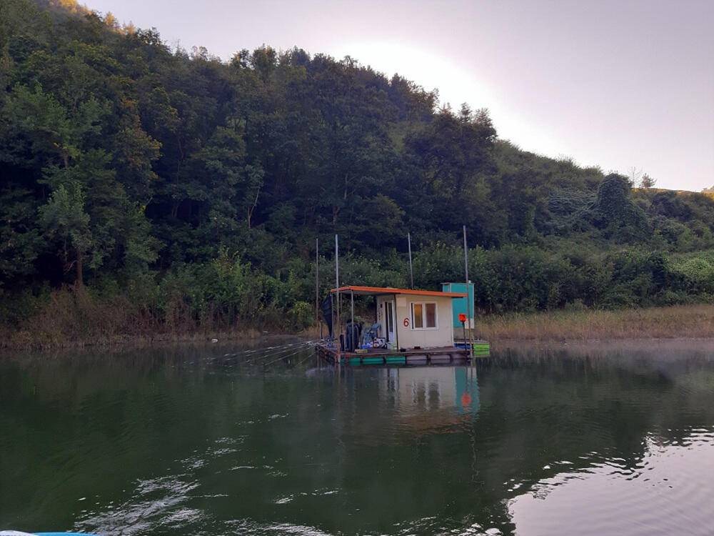 충주호 하천 낚시터 조황 소식입니다 (조황조행기 - 특파원조황)