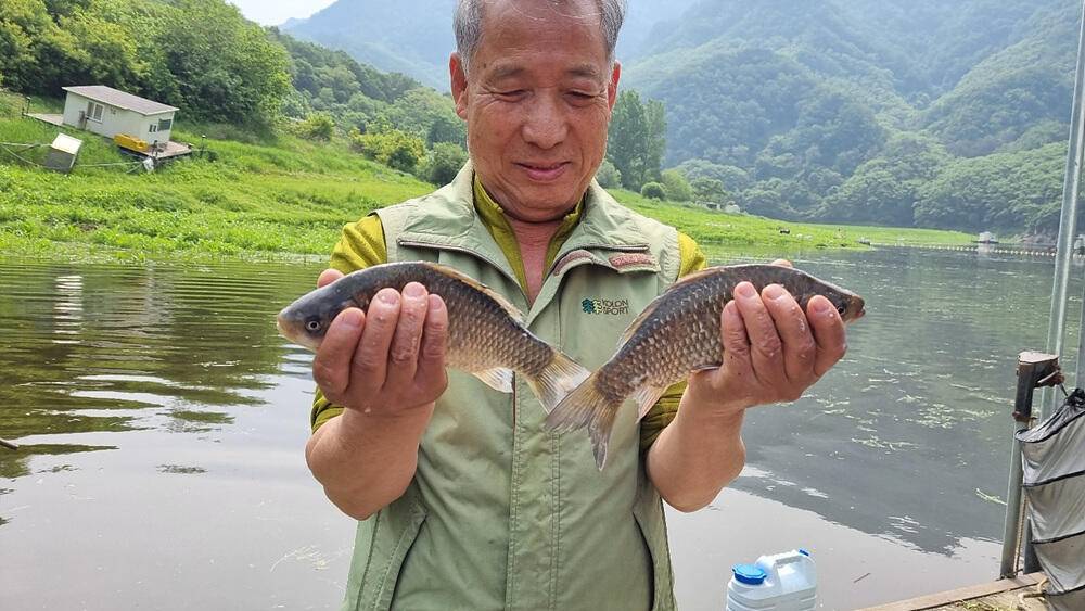 명서낚시터 4짜와 마릿수 붕어 장어 종점 낚시터 42cm 대물붕어 조황 소식입니다 (조황조행기 - 특파원조황)