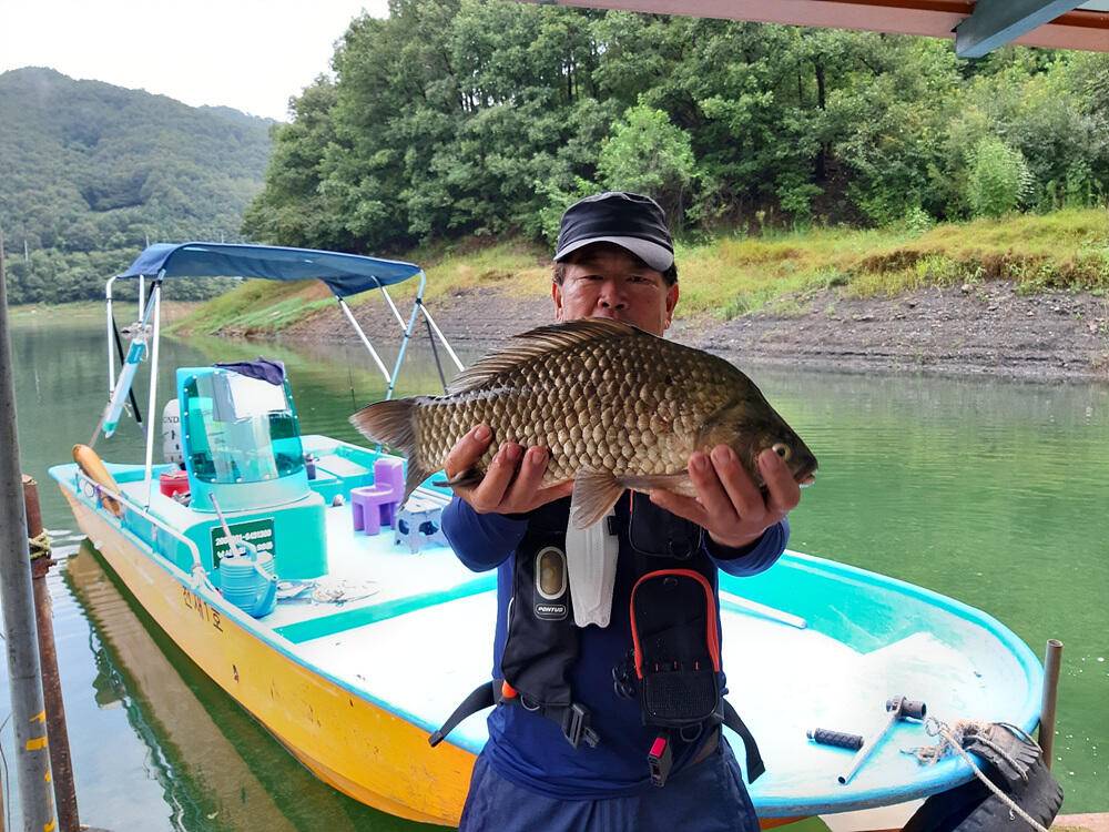 하천 낚시터 45cm 붕어 조황 소식 (조황조행기 - 특파원조황)