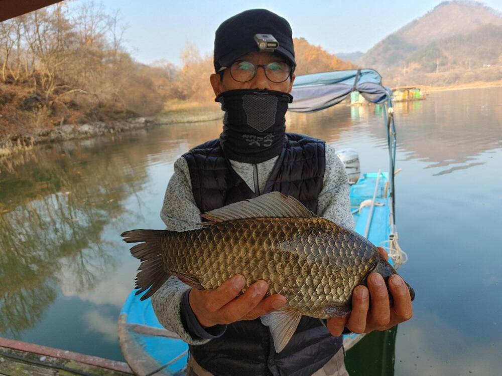 하천낚시터 41cm 대물붕어와 마릿수 조황 소식 (조황조행기 - 특파원조황)