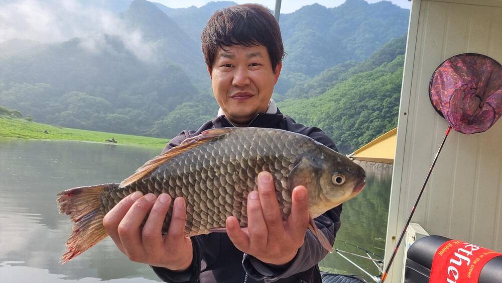 명서낚시터 4짜와 마릿수 붕어 장어 종점 낚시터 42cm 대물붕어 조황 소식입니다 (조황조행기 - 특파원조황)